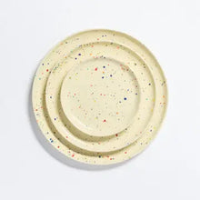Pastel Party Plate, Large 10.5"