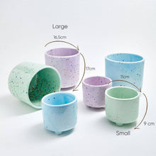 Party Plant Pot