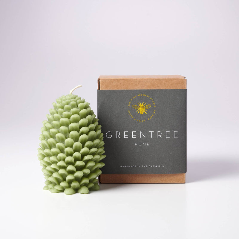 Jumbo Pine Cones, Sage