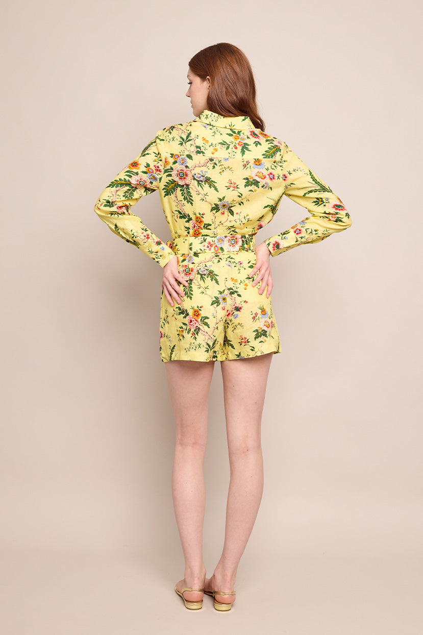Palmer Shorts