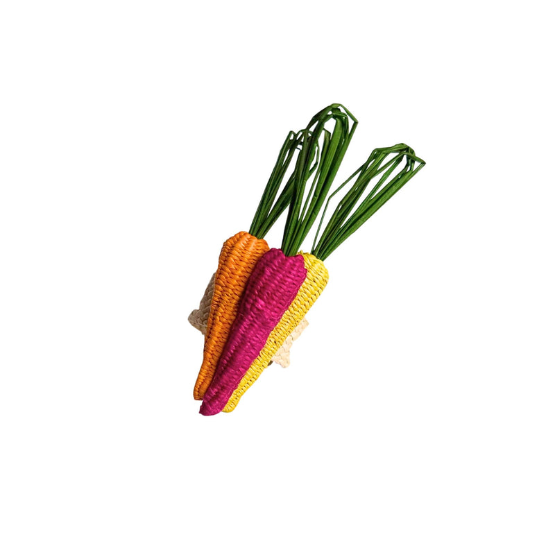 Rainbow Carrots Napkin Ring