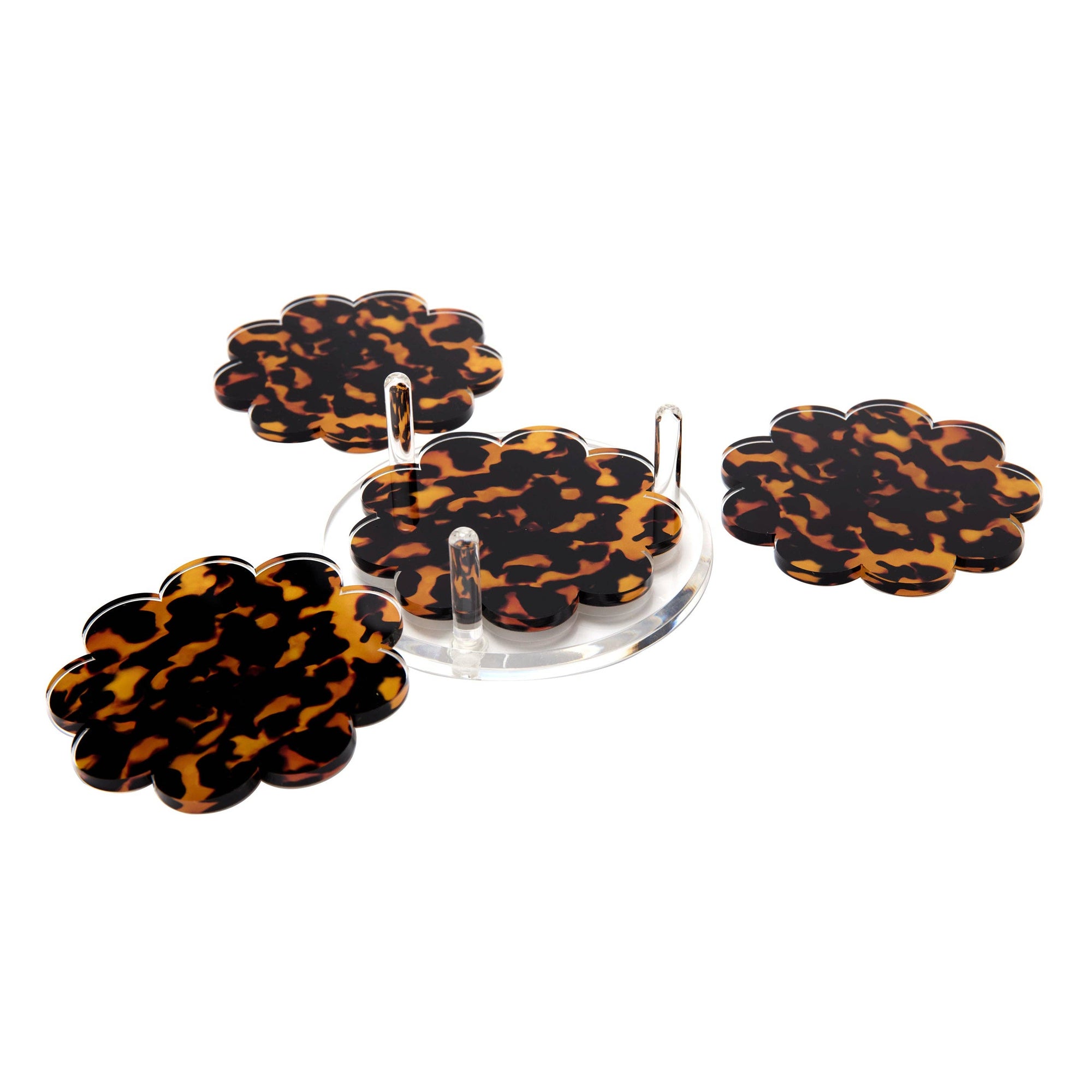 Scallop Tortoise Coasters