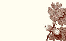 Acorn Place Card