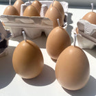 Egg Candles, 6 Pack