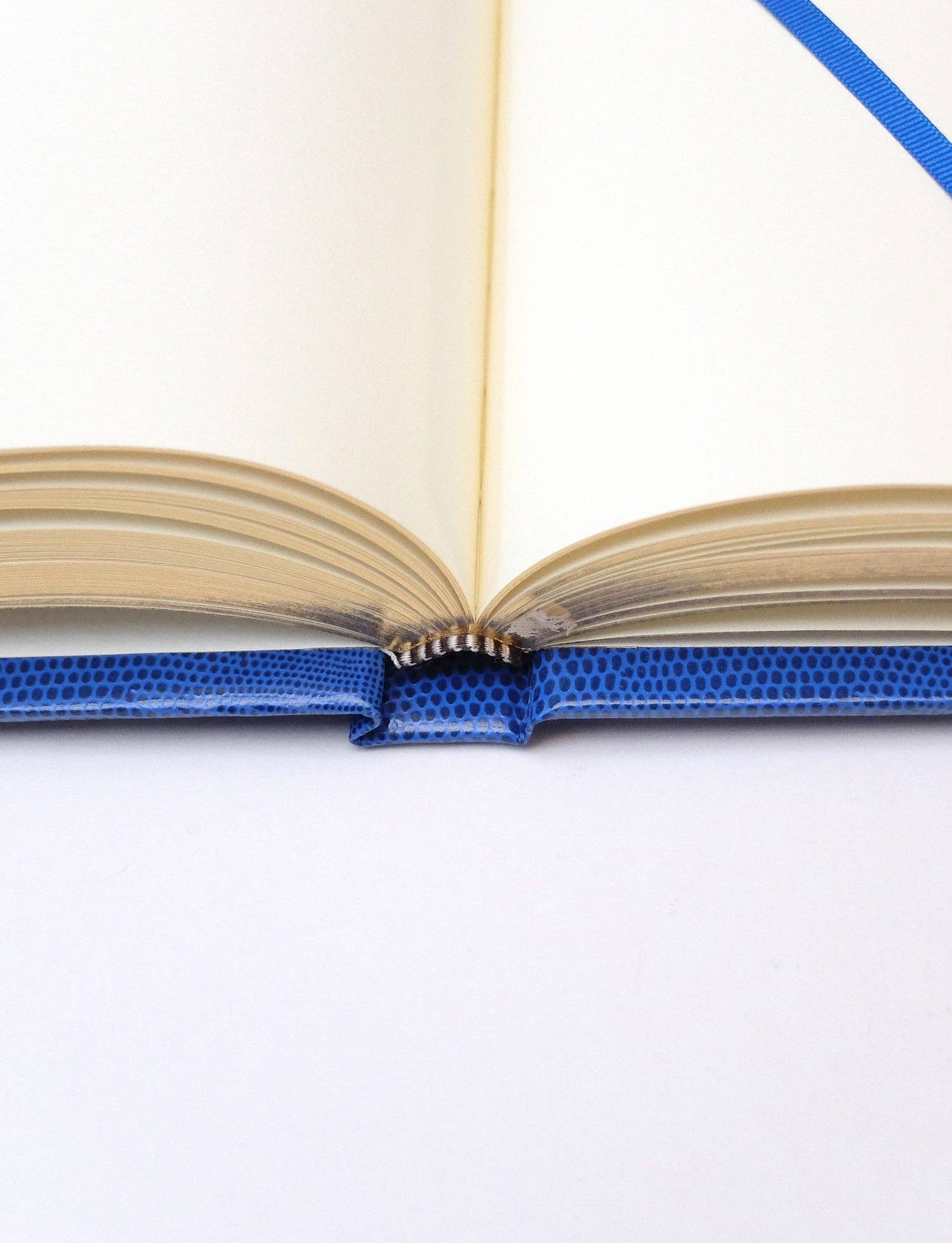 Drop Anchor Guest Book