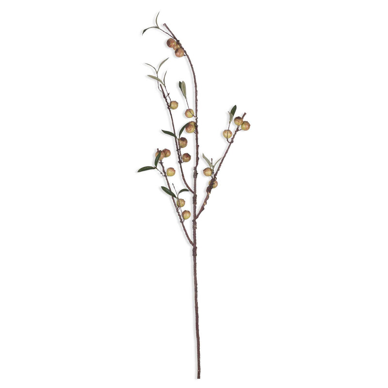 48" Rosehip Branch
