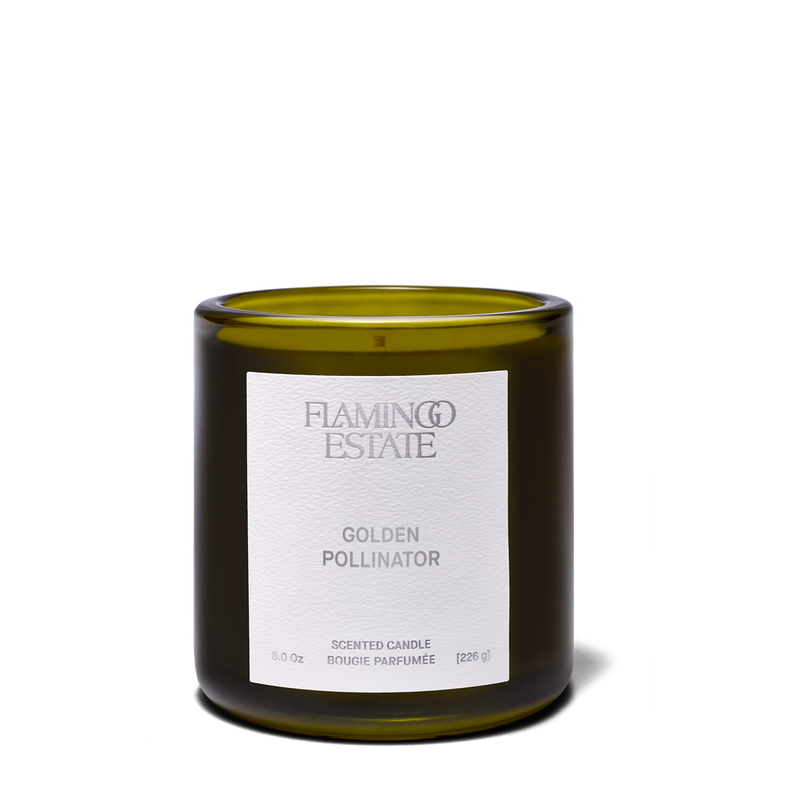 Golden Pollinator Candle, 8oz