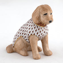 Herend Labradoodle, Brown