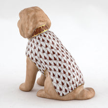 Herend Labradoodle, Brown