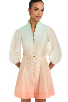 Valencia Mini Dress