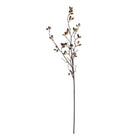 38" Barberry Stem