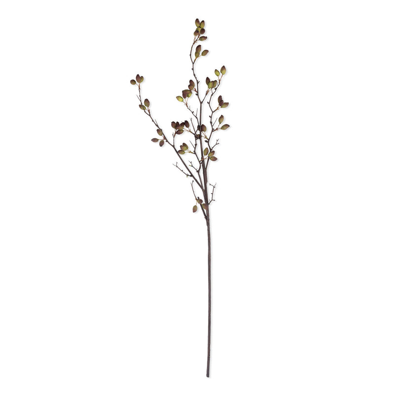 38" Barberry Stem