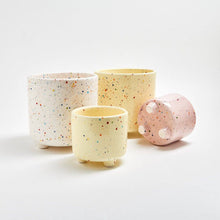 Party Plant Pot