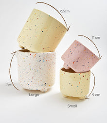 Party Plant Pot