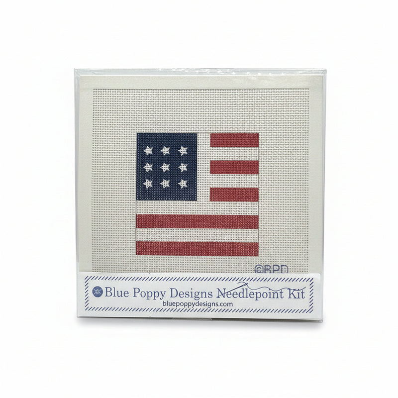 USA Flag Needlepoint Kit