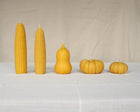 Squash Beeswax Candle