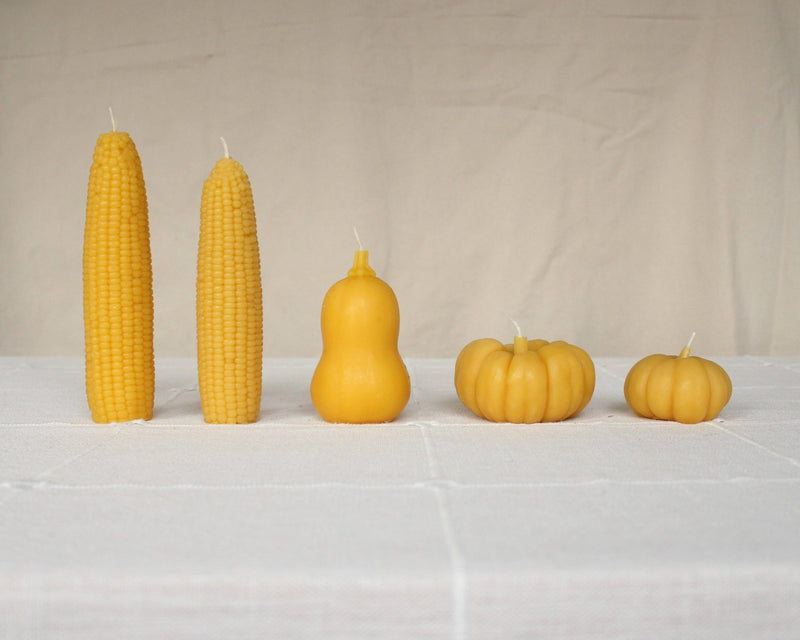 Squash Beeswax Candle