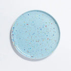Pastel Party Plate, Large 10.5"