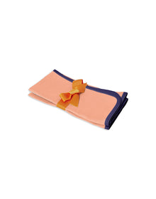 Rainbow Napkins