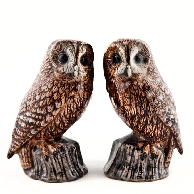 Owl Salt & Pepper Shakers